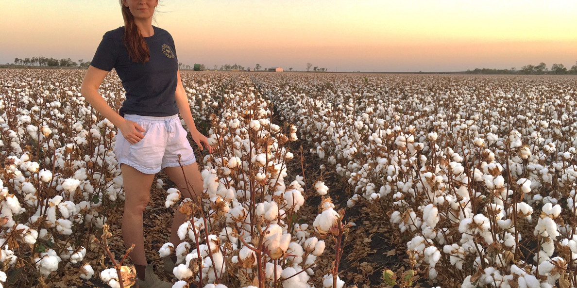 Australia’s Cotton Crop Outlook Improves After Heavy Rains